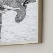 "Elephant Love" - Art Print in Black and White by Jennifer Mckinnon Richman - Frame Close-up