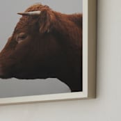 "Isla" - Art Print in Moody Grey by Amy Carroll - Frame Close-up