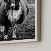 "The General" - Art Print in Black and White by Kaitie Bryant - Frame Close-up