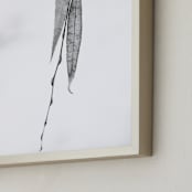 " Closer III" - Art Print in black white by Lying on the grass - Frame Close-up