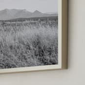 "highland prairie III mono" - Art Print in ash by Kamala Nahas - Frame Close-up