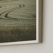 "Holy Cow I " - Art Print in Natural Khaki by Lying on the grass - Frame Close-up