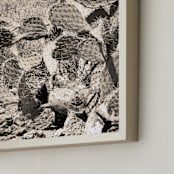 "Desert Cacti III" - Art Print in Gold Dust by Lisa Assenmacher - Frame Close-up