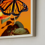 "Monarch Butterflies Sunset" - Art Print in Monarch Orange by Elena Kulikova - Frame Close-up