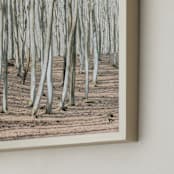 "Smooth forest" - Art Print in Calm Green by Lying on the grass - Frame Close-up
