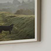 "Holy Cow II" - Art Print in Natural khaki by Lying on the grass - Frame Close-up