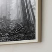 "Secret Forest No. 4" - Art Print in charcoal grey by Lynann Colligan - Frame Close-up