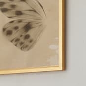 "Vintage Mariposa I" - Art Print in Vintage Ivory by jinseikou - Frame Close-up