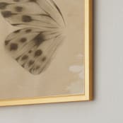 "Vintage Mariposa I" - Art Print in Vintage Ivory by jinseikou - Frame Close-up