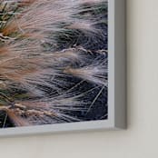 "Alaska Flora" - Art Print in Alaska Flora by Salina Mack - Frame Close-up