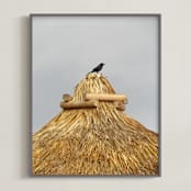 "Tiki Blackbird" - Art Print in Black by Jonathan Brooks - Framed