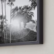 "Sunflare Palms" - Art Print in Flare by Jamie Lollback - Frame Close-up