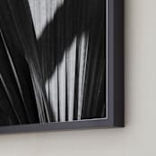 "Palmery 2" - Art Print in Black and White by Catherine Culvenor - Frame Close-up