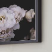 "Midnight Bloom" - Art Print in blush by Kamala Nahas - Frame Close-up