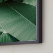 "Tropical Leaves" - Art Print in White by Alicia Abla - Frame Close-up