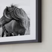 "A Horse and the Wind" - Art Print in Icland wind by Ilze Lucero - Frame Close-up