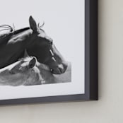 "Foal" - Art Print in Charcoal by Anne Ciotola - Frame Close-up