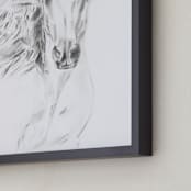 "Equine Vanity" - Art Print in original charcoal by Ramnik Velji - Frame Close-up