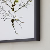 "kelp print 003" - Art Print in seaweed green by aeryn donnelly design - Frame Close-up