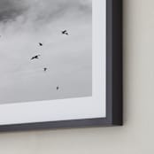 "Soaring Trio 1" - Art Print in Charcoal by Three Wings North - Frame Close-up