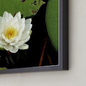 "Water Whimsy" - Art Print in Lily by Three Wings North - Frame Close-up