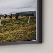 "icelandic horses no.3" - Art Print in one color by Monica Gussow - Frame Close-up
