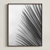 "Palm leaves 1" - Art Print in black and white by Eliane Lamb - Framed