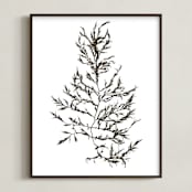 "kelp print 004" - Art Print in dark brown by aeryn donnelly design - Framed