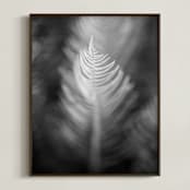 "Soft Feathers" - Art Print in Black and White by Lynn Lehto - Framed