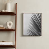 "Palm leaves 1" - Art Print in black and white by Eliane Lamb - In a Room