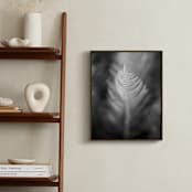 "Soft Feathers" - Art Print in Black and White by Lynn Lehto - In a Room