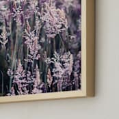 "Lovely Lavender" - Art Print in Lavender by Shine Haus Collective - Frame Close-up