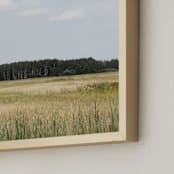 "Northwoods Bound" - Art Print in Larch Green by Karen Kaul - Frame Close-up