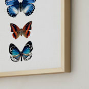 "Fly Away #3" - Art Print in Sky Blue by Kisco Print Shop - Frame Close-up