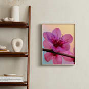 "Vibrant Cherry Blossoms 2" - Art Print in Petal Pink by Elena Kulikova - In a Room