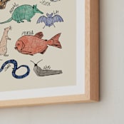 "Underappreciated Creatures" - Art Print in Turquoise Sea Green by Kellie Dykast - Frame Close-up