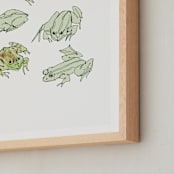 "Frog sketches" - Art Print in Pastel Green by Catilustre - Frame Close-up