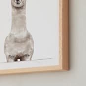 "Baby Animal Llama" - Art Print in Milky foam by Cass Loh - Frame Close-up
