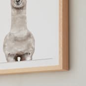 "Baby Animal Llama" - Art Print in Milky foam by Cass Loh - Frame Close-up
