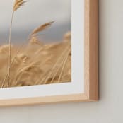 "marsh grass" - Art Print in Golden by Crystal Lynn Collins - Frame Close-up