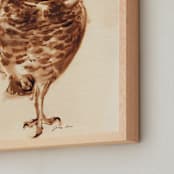 "Little Mad Owl" - Art Print in soft tan by Tracy Ann - Frame Close-up