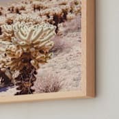 "Joshua Tree Cholla" - Art Print in rose gold by Ann Hudec - Frame Close-up