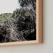 "Agnes Waters II" - Art Print in Mono by Blustery August - Frame Close-up