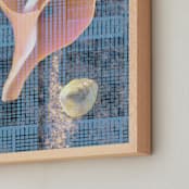 "Shell Game" - Art Print in Blue Sky by Lauren Enjeti - Frame Close-up