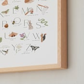 "Woodland Explorer Alphabet" - Art Print in Sage by Randi Cirelli - Frame Close-up