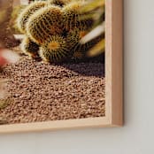 "Golden Utopia " - Art Print in Golden Sun by Hollie Renner Photography - Frame Close-up