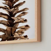 "Pine Cone Tall" - Art Print in brown by Alexis Arnold - Frame Close-up