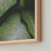 "Speckled Sawyer" - Art Print in Speckled Green by K.Short - Frame Close-up
