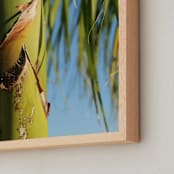 "Sunny Palm" - Art Print in Palm Green by Melissa Agular - Frame Close-up