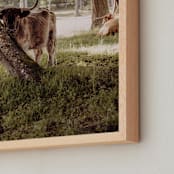 "Timid Beauty" - Art Print in Almond Butter by Hollie Renner Photography - Frame Close-up